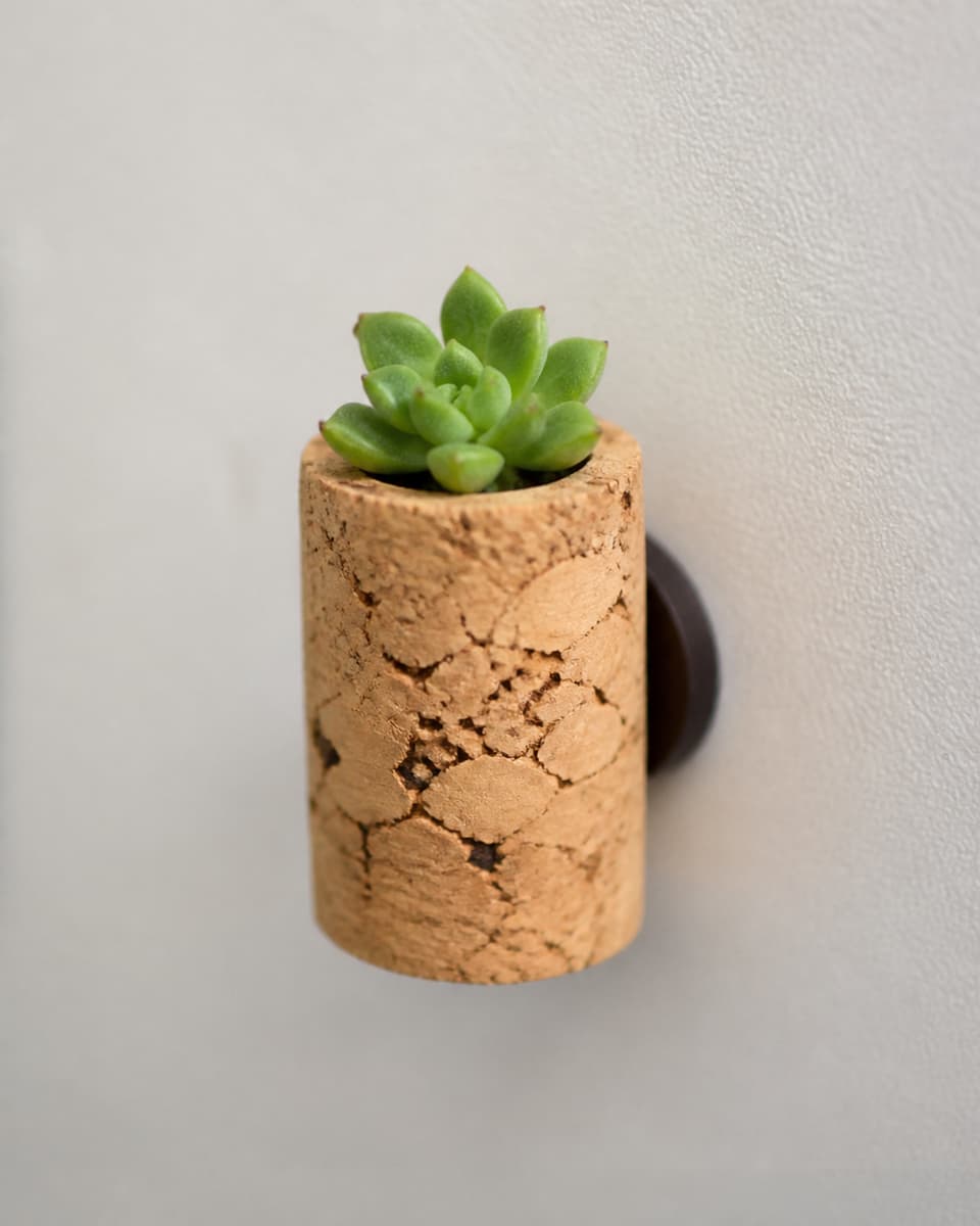 Petit pot en bouchon de liège contenant une minuscule succulente, fixé à la porte d’un réfrigérateur neutre grâce à un aimant.
